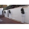 CORTILE, SIMMETRIA - podocarpus