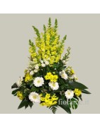 Funeral Arrangements